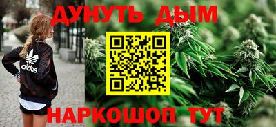 крисы Кунгур