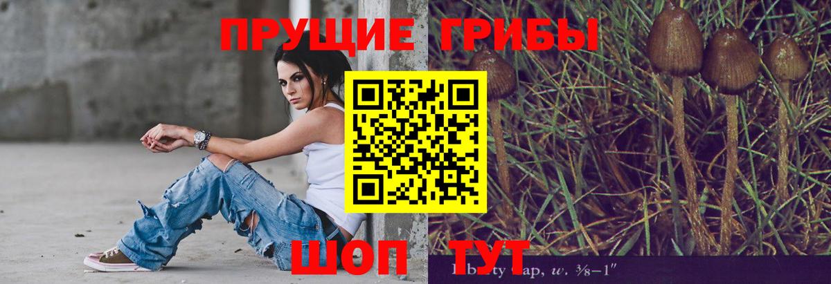 Псилоцибиновые грибы Cubensis  Вход с VPN  Комсомольск-на-Амуре 